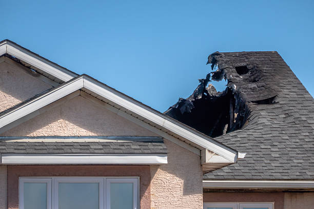 Top rated local Fire Damage Cleanup specialists in Cokato, MN